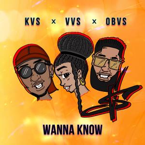 Wanna Know (feat. OB.VS, K.VS, V.VS & Marvo Fivestarsz)