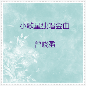 我心爱的小马车