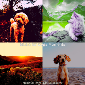 Warm Jazz Guitar Trio - Vibe for Cute Puppies