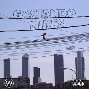 GASTANDO NIKES
