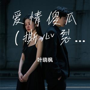 爱情傻瓜（撕心裂肺版）