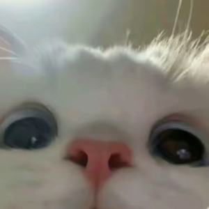 一直很安静（古筝）