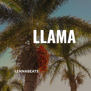 Llama