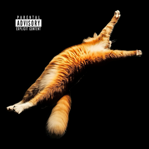 Backflip
