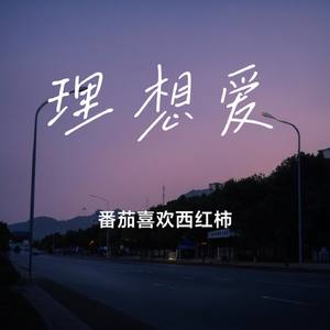 理想爱
