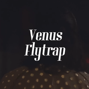 Venus Flytrap