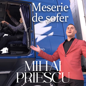 Meserie De Șofer