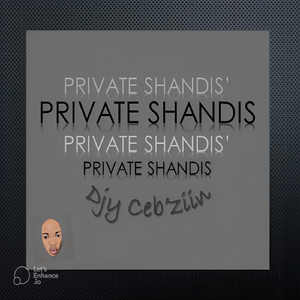 Private Shandis'