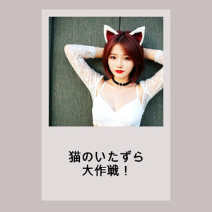 猫のいたずら大作戦！