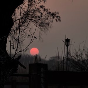 《可是她也不回来》