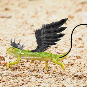 刚毕业的职场油子