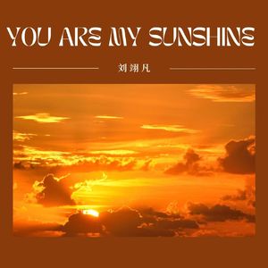 You are my sunshine (伴奏)