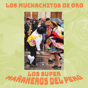 Huaylash Papa