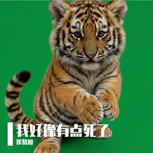 这辈子都可能结不了婚了