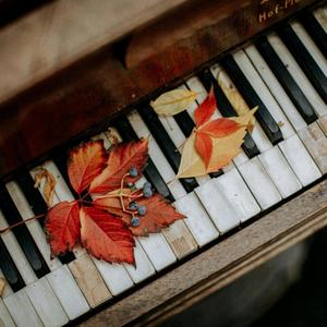 Müziğini Yaparken Ağladım (Ahmet Can a Teşekkürler)