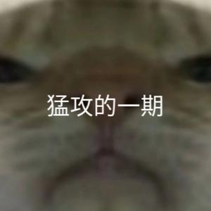 狗熊岭野史Ⅱ(无冕之王)