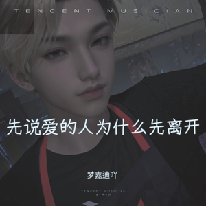 起风了(塑料版)