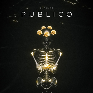 PUBLICO