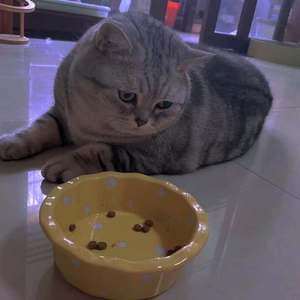 没有雨的下雨天（prod EVOMUSIC）