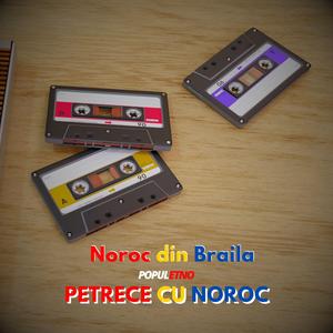 In gradina casei mele (feat. Noroc din Braila)