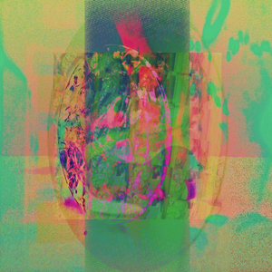 14.7 [polly]
