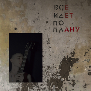 Все идет по плану