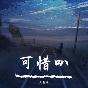 可惜叭