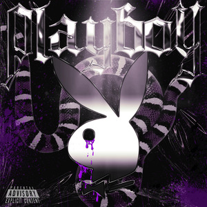 PlayBoy (Prod. by Babycat)