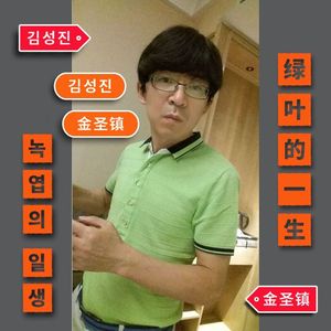 绿叶的一生【情感小提琴】