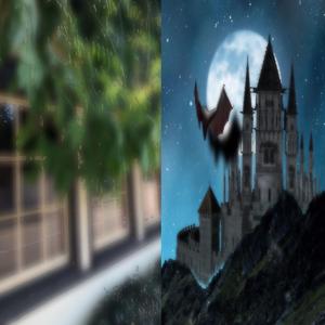 Losing Track of the Days