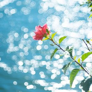 纸风筝与田埂谣