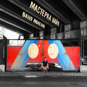 Мастерка найк