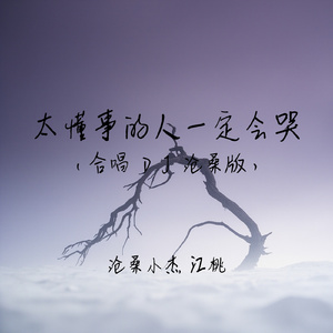 太懂事的人一定会哭(合唱DJ沧桑版)