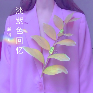淡紫色的回忆