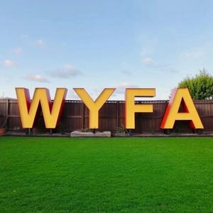 WYFA (feat. Q.)