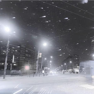 为什么得不到你的爱