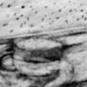 Contemplating at Home