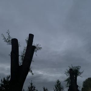 没有用freestyle【重失真】