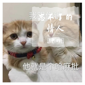 新不了情