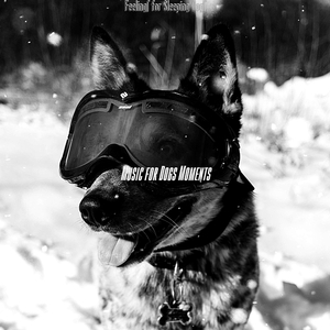 Breathtaking Separation Anxiety