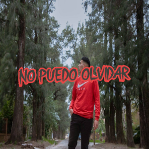No Puedo Olvidar