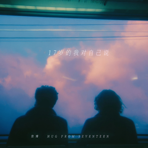 17岁的我对自己说