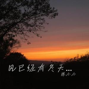 风已经有冬天的味道 (Cover 徐暖暖)