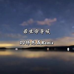 若生命等候（DJ锦先森 Remix）
