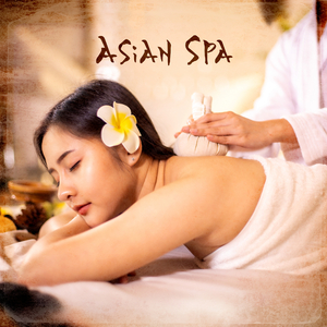 Bull In A China Shop