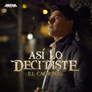 Asi Lo Decidiste