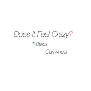 Does It Feel Crazy?
