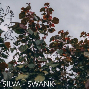 Swank