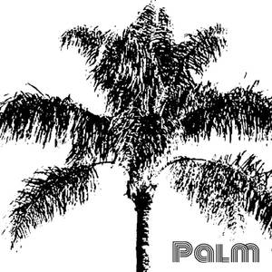 Palm