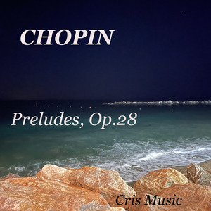 Preludes, Op.28: 19. Vivace (E Flat Minor)